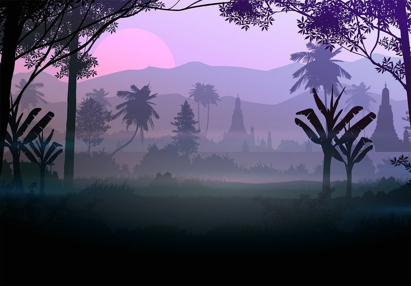 forest-5855196_1280-92092949-3977-4d69-a206-868ec6c398a5