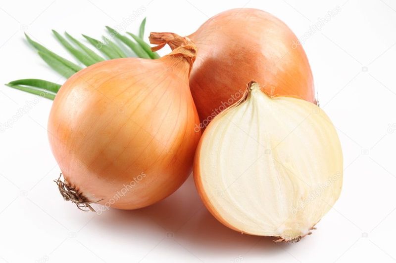 cebolla